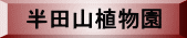 ���c�R�A���� 